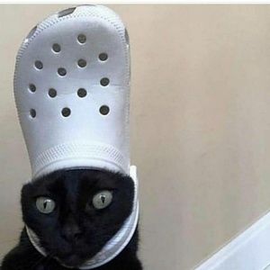 Meet your Posher, Kira